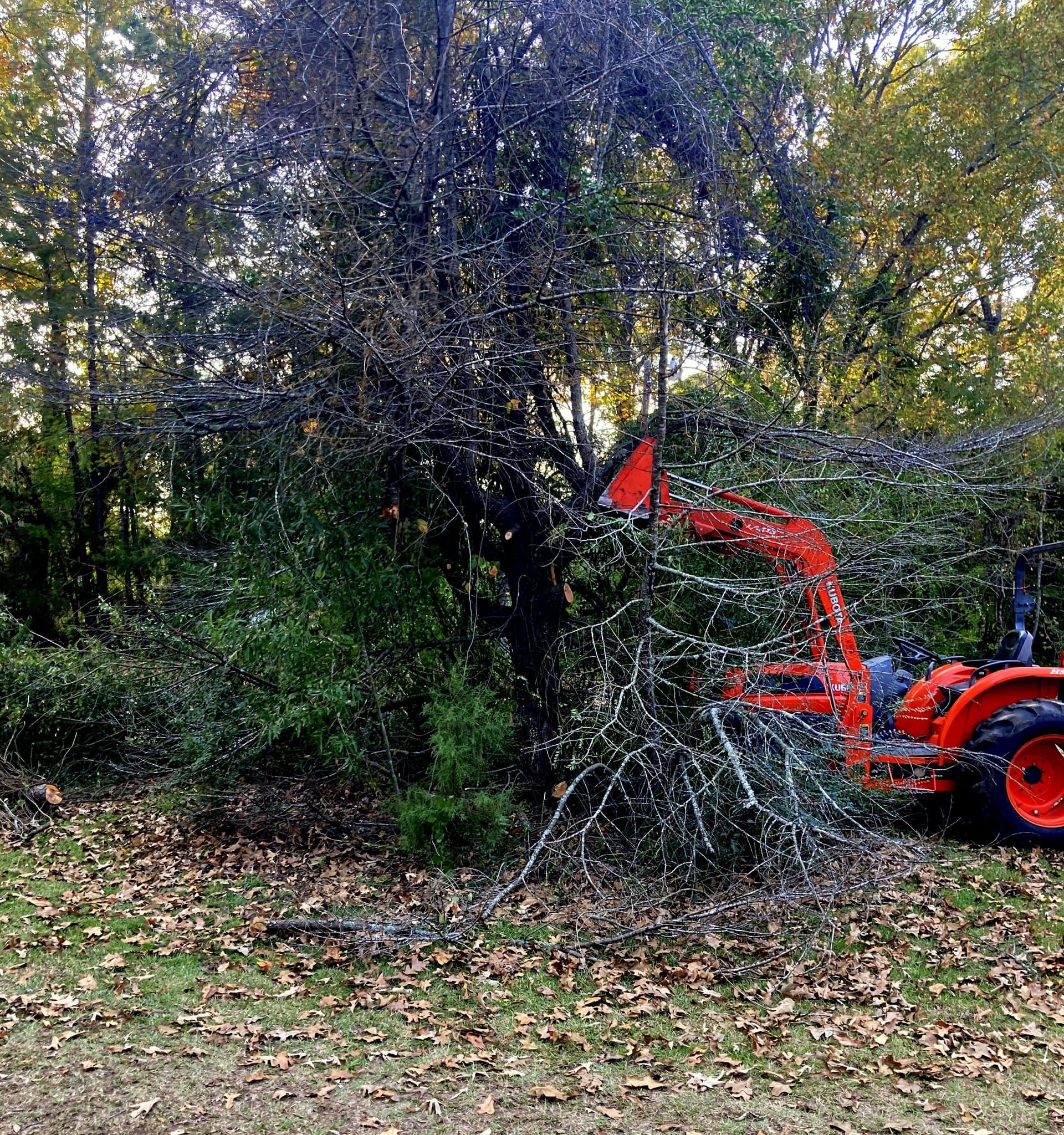 Land clearing