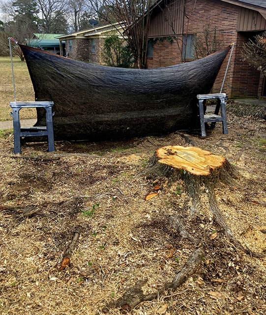 Stump Grinding