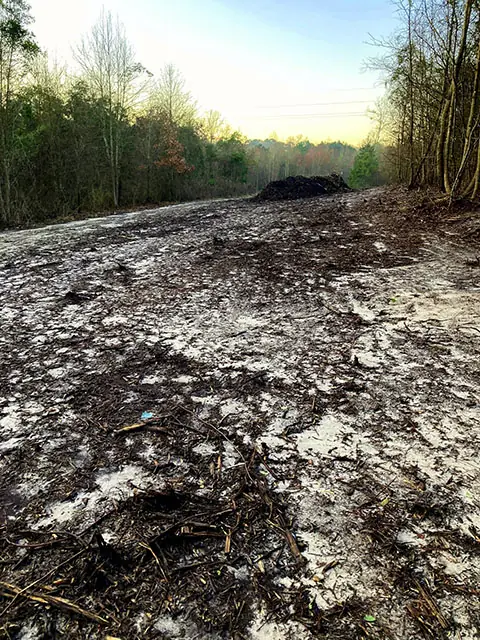 Cleared land ready for brush haul-off