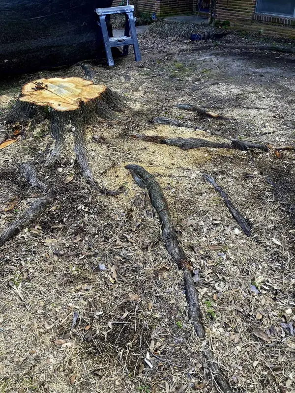 Stump grinding job