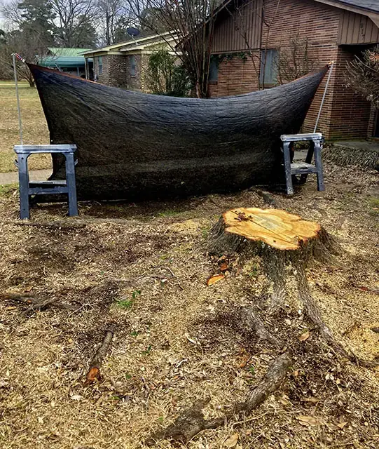 A stump freshly ground down, tarped to protect nearby bird bath