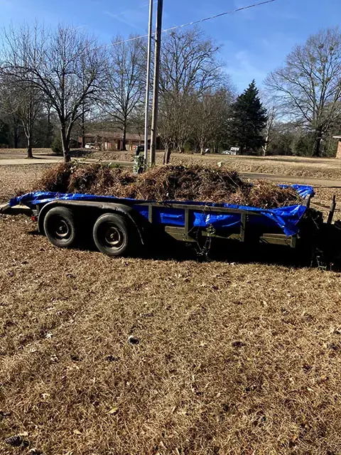 Hauling off some brush after a clearing job